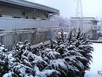 写真:センター試験は雪